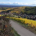 Bed and Breakfast La Maison Des Vignes
