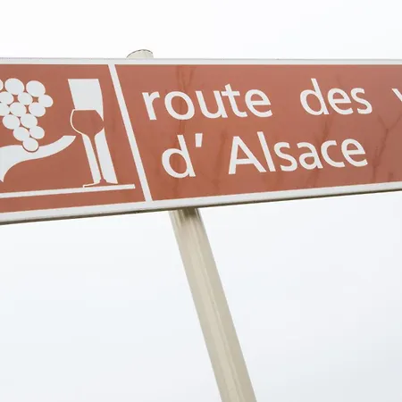 La Maison Des Vignes Katzenthal