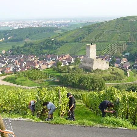 La Maison Des Vignes 3* Katzenthal