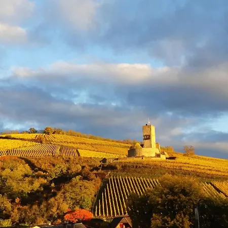 La Maison Des Vignes Bed & Breakfast