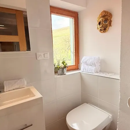 La Maison Des Vignes Bed & Breakfast