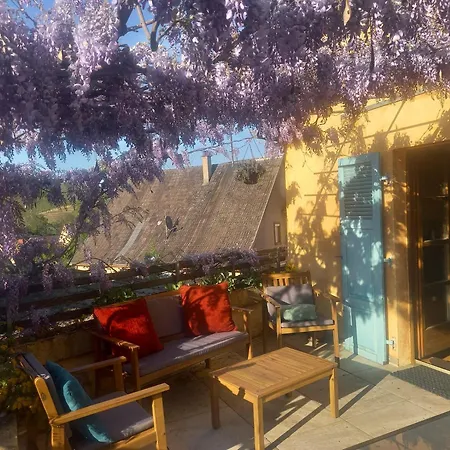 La Maison Des Vignes Bed & Breakfast Katzenthal