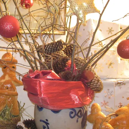 Bed & Breakfast La Maison Des Vignes