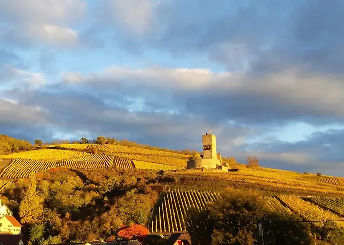 La Maison Des Vignes Nocleg ze śniadaniem