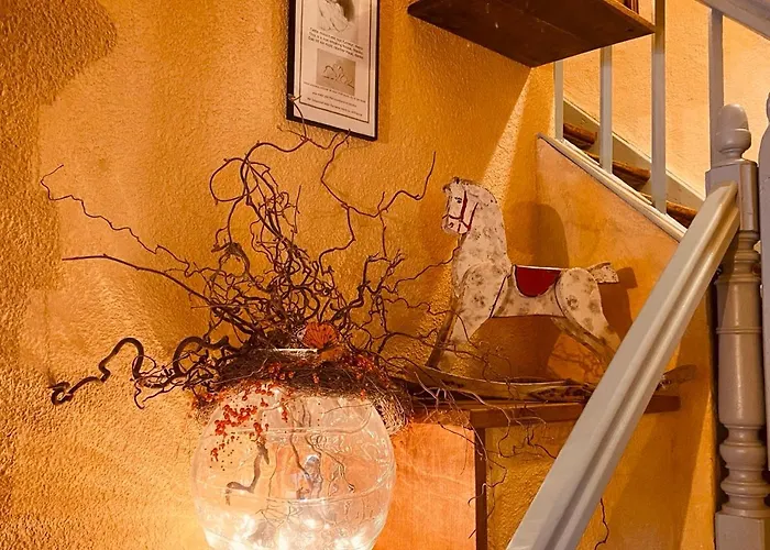 La Maison Des Vignes Nocleg ze śniadaniem Katzenthal