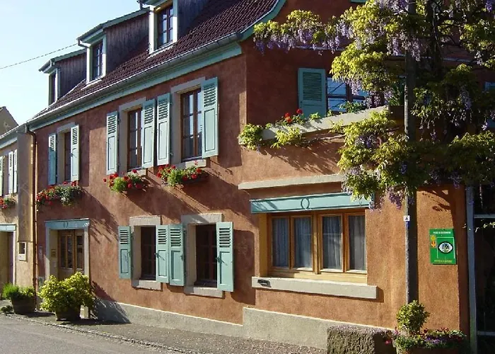 La Maison Des Vignes Nocleg ze śniadaniem Katzenthal